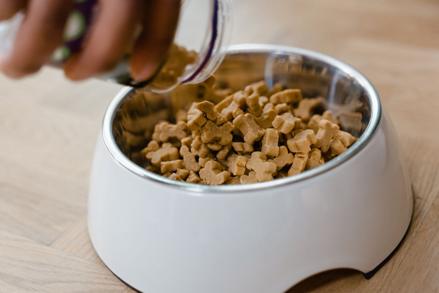 Sirviendo alimento seco en un bowl blanco