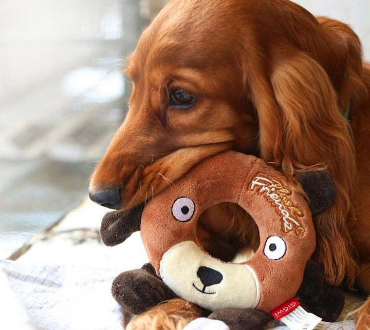 PLUSH FRIENDZ M SIZE OSO DONA 1PZ — GiGwi