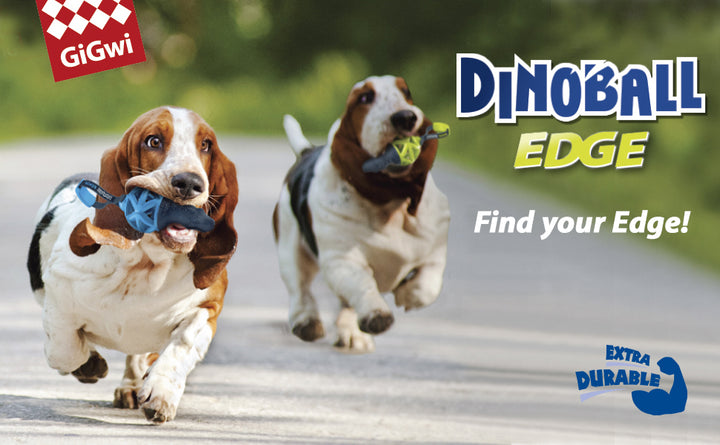 DINOBALL EDGE MEDIUM GREEN FLUOR 1PZ — GiGwi