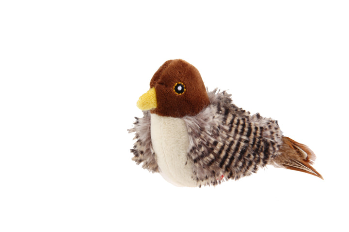 MELODY CHASER ACTIVATE SOUND BIRD 1PZ — GiGwi