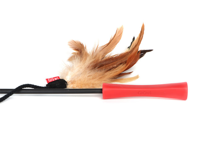 ECO LINE FEATHER TEASER VARILLA PLUMA 1PZ — GiGwi