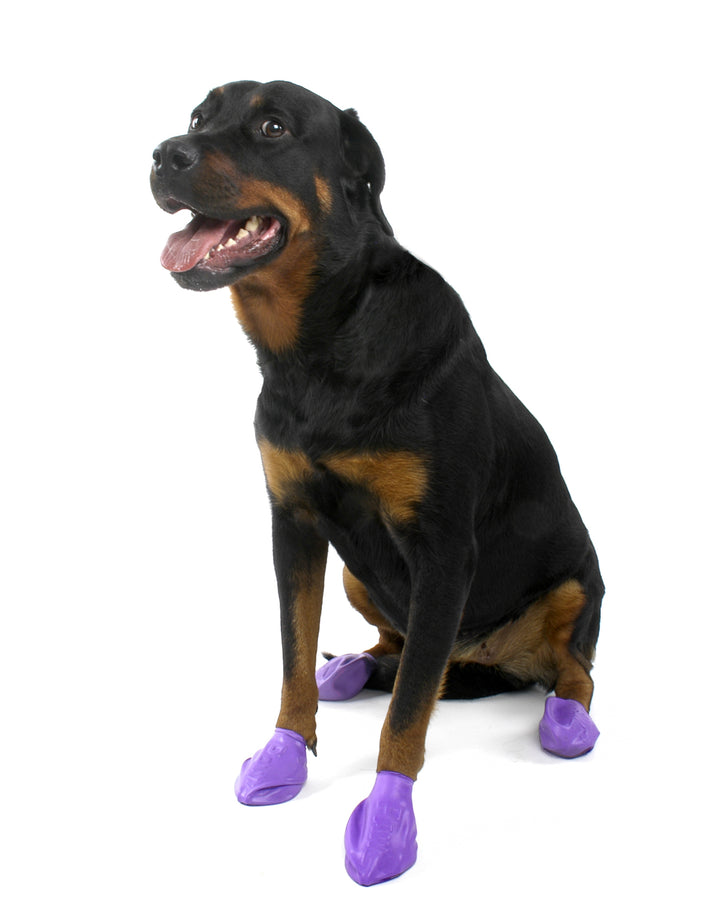 Botitas Morado Tamaño L — Pawz