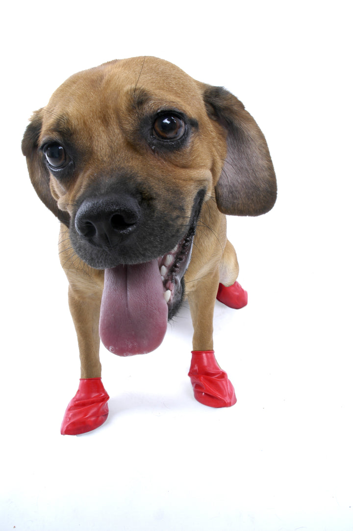 Botitas Rojo Tamaño S — Pawz