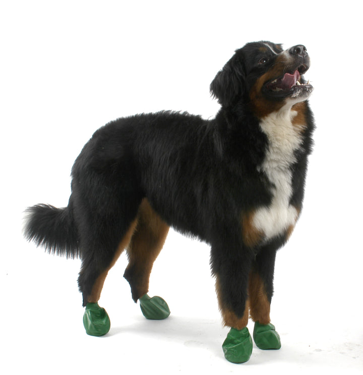 Botitas Verde Tamaño XL — Pawz