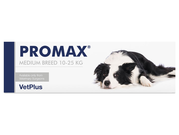 Promax Medium Breed — VETPLUS