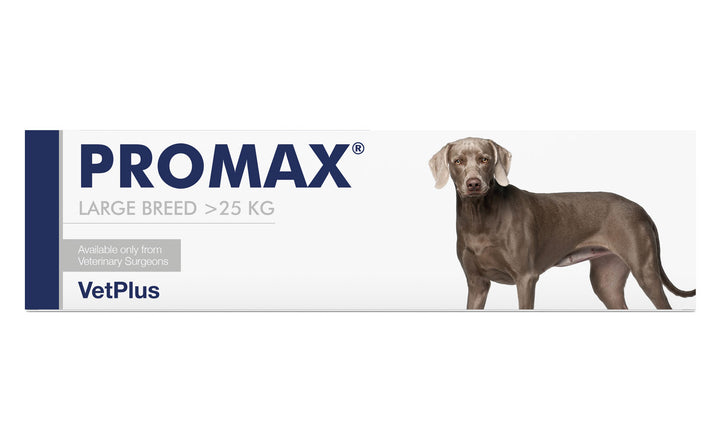 Promax Large Breed — VETPLUS