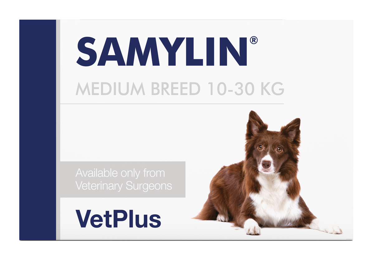 Samylin Medium Breed Tabs — VETPLUS