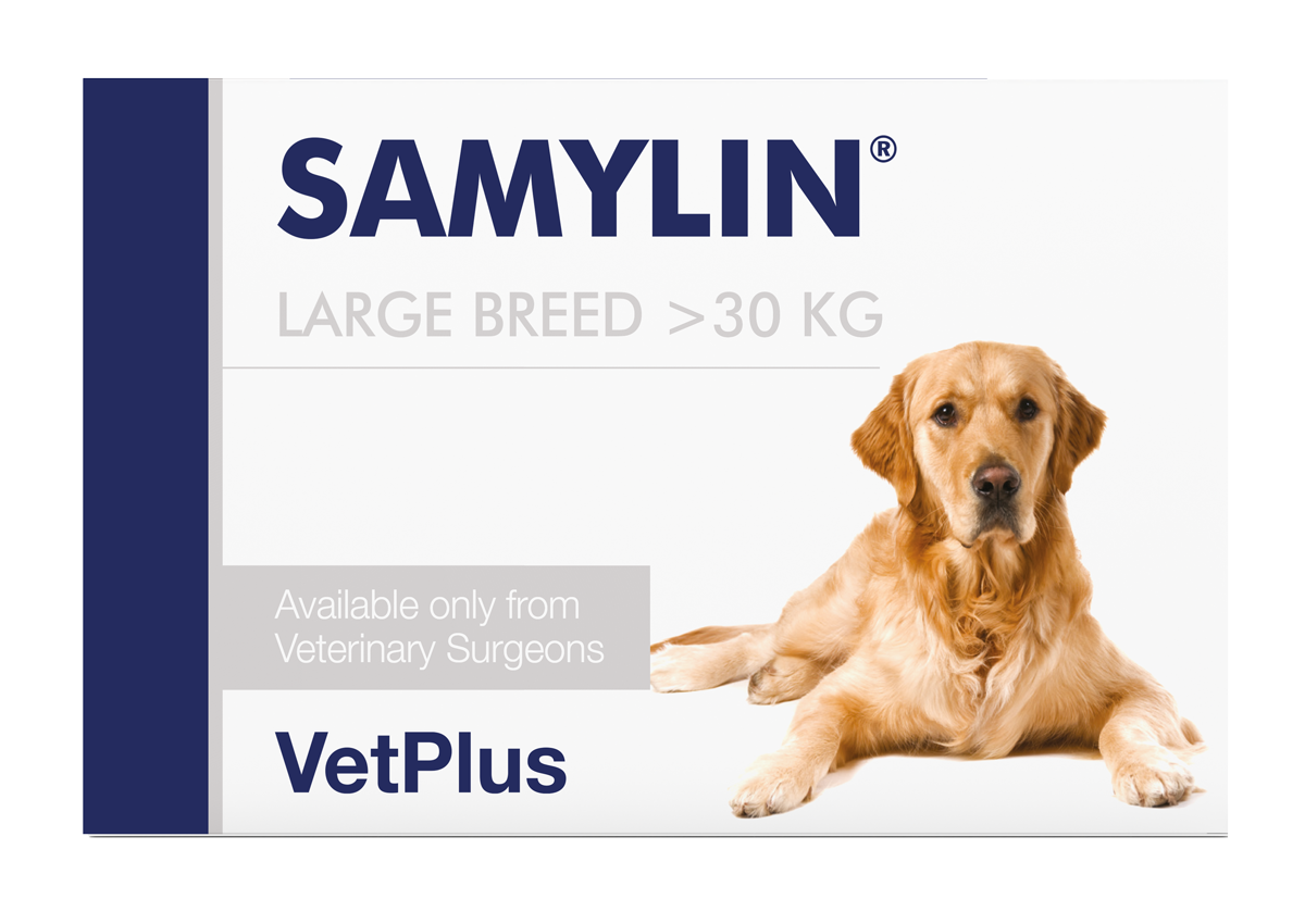Samylin Large Breed Tabs — VETPLUS