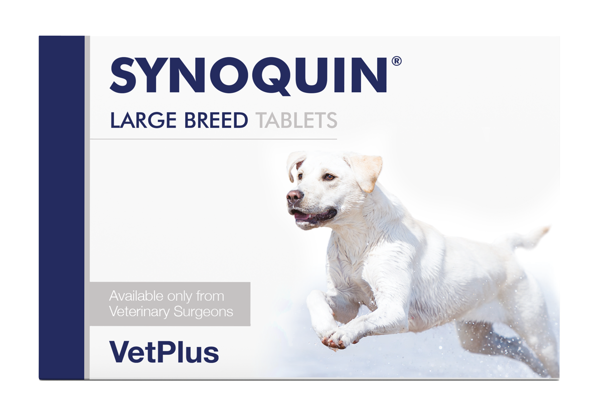Synoquin Large Breed Tabs — VETPLUS