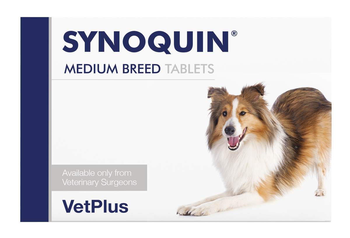 Synoquin Medium Breed Tabs — VETPLUS