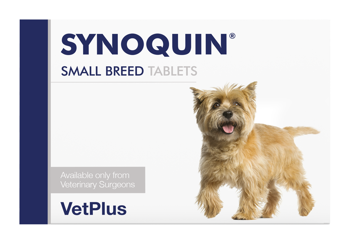 Synoquin Small Breed Tabs — VETPLUS