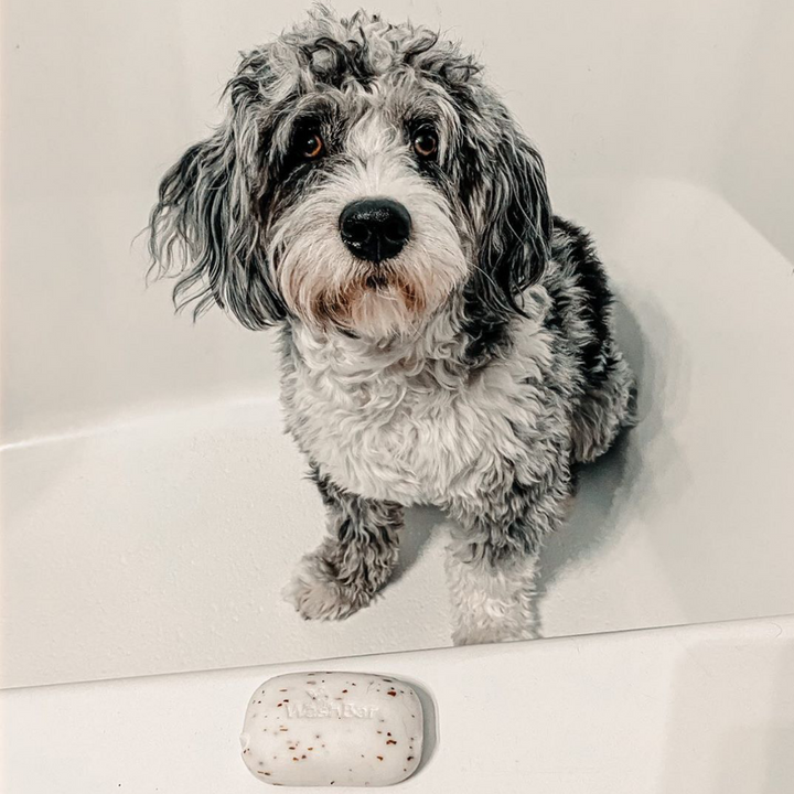 Jabón WashBar Perros 100 gr — WashBar